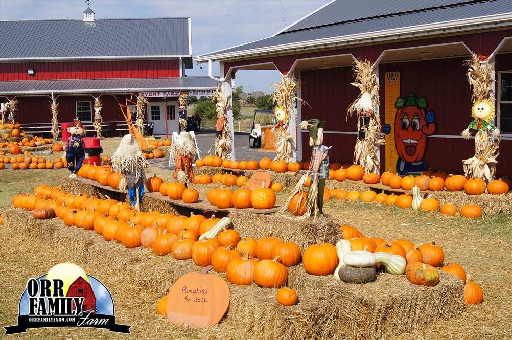 Oklahoma City Orr Family Farm Pumpkin Patch | oklahoma city orr family farm pumpkin patch 1000 images Oklahoma City Orr Family Farm Pumpkin Patch | oklahoma city orr family farm pumpkin patch 1000 images
